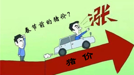 几家欢喜几家愁，2017春节前猪价行情预测！