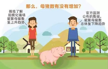 权威解答！农业部4千猪价监测点真不是盖的