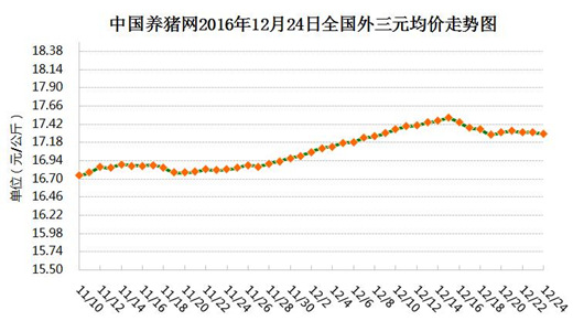 12月24日猪评：屠企不敢放肆压价，短期猪价震荡前行是主流