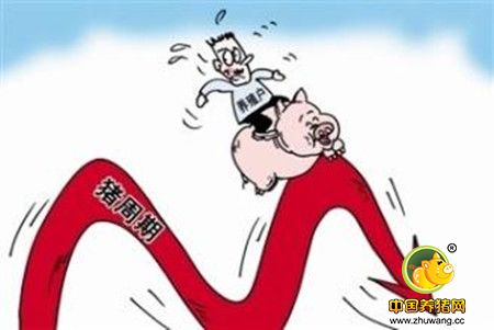 诸侯争霸最关键的五年　饲料企业再淘汰50%！