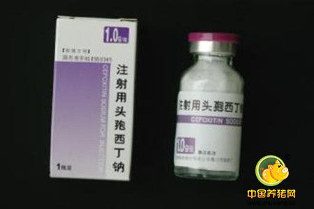 养猪场中浅谈头孢菌素类抗生素的应用方式
