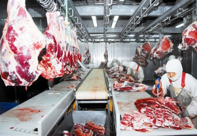 第51周农产品市场动态——国内主要畜产品价格稳定