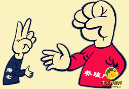 屠企“压价逼量”宣告失败、猪病已进入高发期