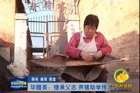 伟大的养猪人！一家人养猪助学30年