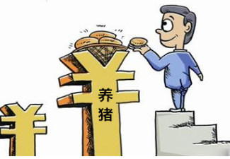 2017年猪价仍会高位运行？关键还得看这几个因素