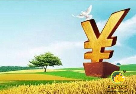 养殖补贴汇总！今年咱一共有这些补贴，你都拿到了吗？
