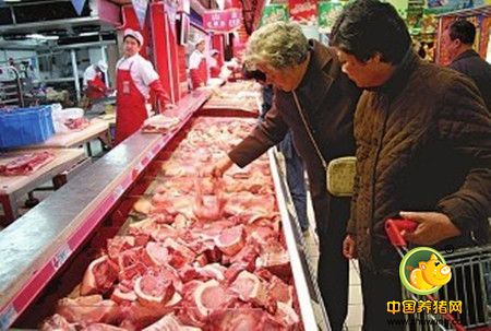 务工人员返乡！毛猪价格将在消费推动下迅速上涨！