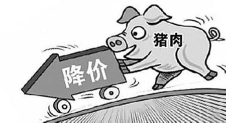 返乡潮出现 消费格局出现变动 毛猪价格冰火两重天