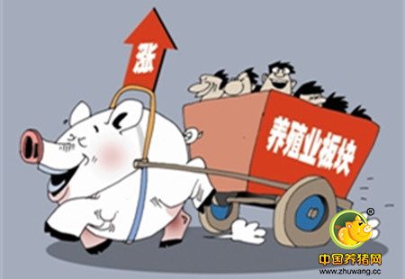 需求增加刺激猪价反弹 短期猪市难以出现大涨大跌