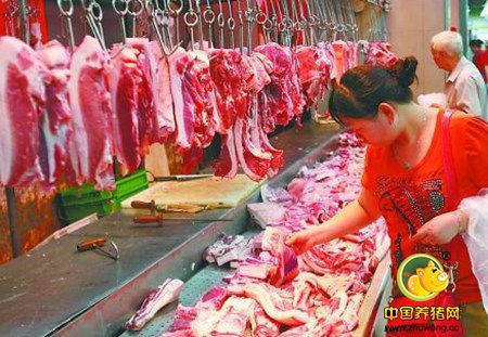 养牛养羊不如养猪 他说明年猪价还能有7块5