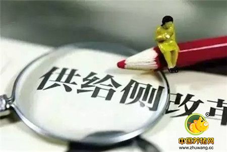 这16个词就总结出了2016年中国农业格局