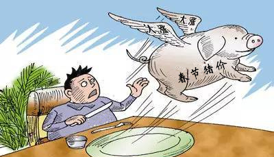目前猪价已相对理想，养猪户切莫盲目赌高价