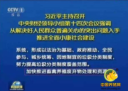 养猪人挺住! 农村粪污处理将迎来掘金时代