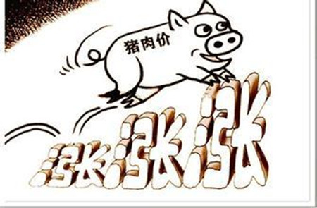2016生猪价格大起大落，你是否赚到了钱？
