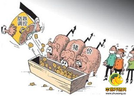 2017年分析：春节前生猪价格还有可能上涨吗？