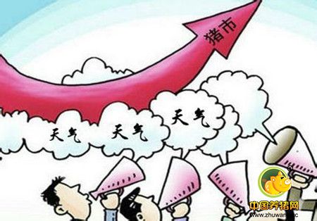 市场和天气因素继续对猪价形成支撑，猪价已涨到相对高