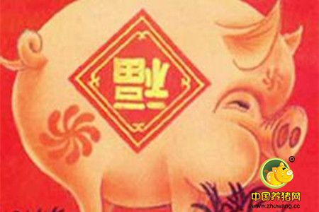 入腊月，“前无古价”的金猪年来啦！