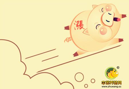猪价暴涨外三元到了9.7！春节前后走势如何？！