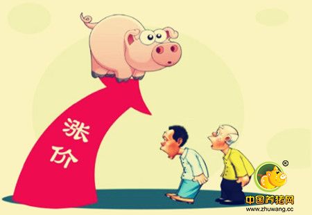 小刀将成屠宰主力 后期上涨速度或越来越快