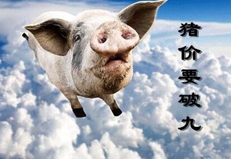 腾云驾雾！大雾红色预警推动猪价突破18元/公斤