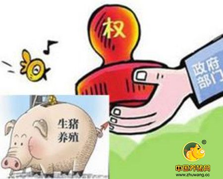 未来养猪成本决定养猪成败！想降低养猪成本？详细阅读本文就知道怎么做...