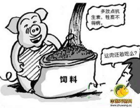 养殖业饲料三宝如何应用