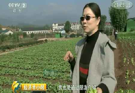 经济半小时 衢州：猪产业去污记