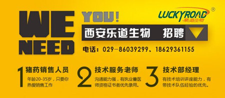 月薪都这么高？西安乐道生物牛逼了