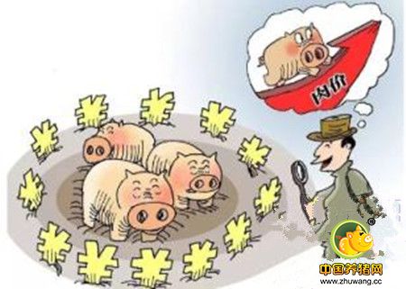 凌云：自力更生谋发展 生态养猪助脱贫