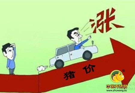 春节越来越近 养猪人的困惑也越来越大 是涨是跌？
