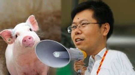 养猪业发展方式将告别单打独斗 需要业内骨感撑起来