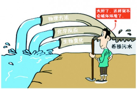 身边冷暖总关情|浙江龙游养猪废弃物利用实现零排放