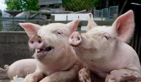 冬季咳嗽、喘气、发烧……急性死死亡，大多是因为这些病