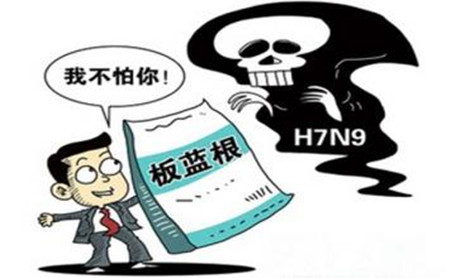 冬季养猪防流感