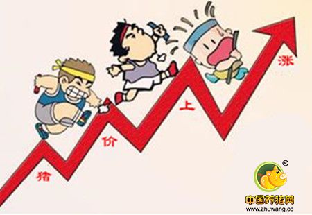 本周行情呈现倒“V”，年关将近后市可期