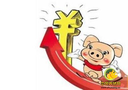 备货开始猪价止跌反弹 短期猪价稳中伴涨行情为主