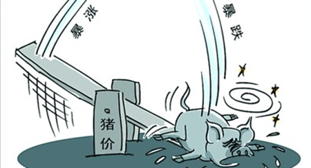1月猪价行情总体保持稳中伴涨，3月份可能走强