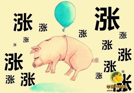 下旬猪价或还有一波涨势 网友：逢高出栏、卖大留小