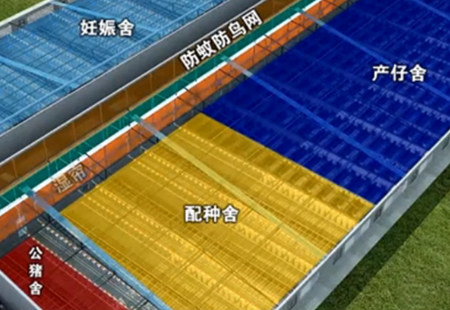 养猪实用设计 国内某猪场建设3D原理视频