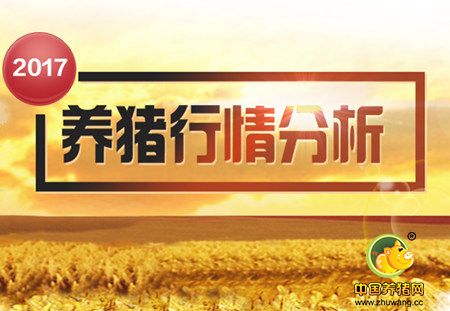 猪价恢复上涨！ 展望后市 2017年养猪前景分析