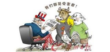 如何替代、减少和改善农场中抗生素的使用