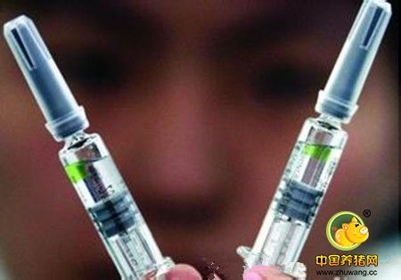 两种检测猪瘟疫苗抗原含量的对比分析方法