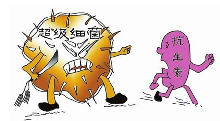 猪抗生素的使用
