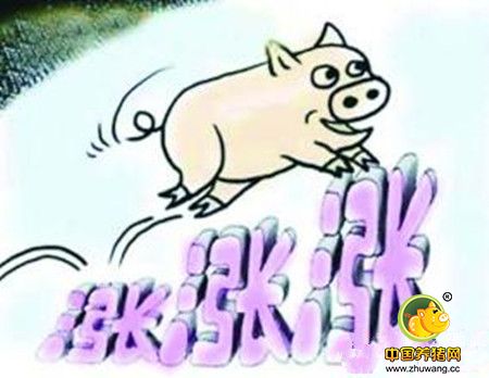猪价低迷 抓住存优去劣的良机
