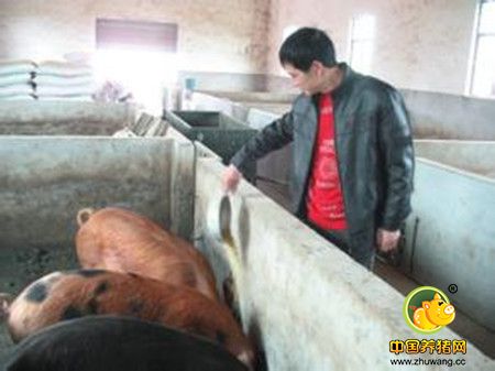 三男子以建养猪场为由 占用山林17余亩挖沙土出售