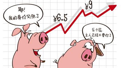 小年再遇大寒出栏量增加，猪价持续下跌达10天！