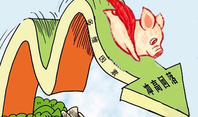 农业部预警：春节过后猪价将下跌，但降幅不大