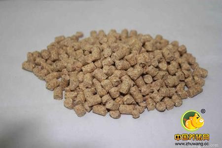 生物饲料：掀起你的盖头来