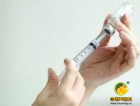 一针退烧针扎下去，你是否考虑过“冤枉”了猪猪？
