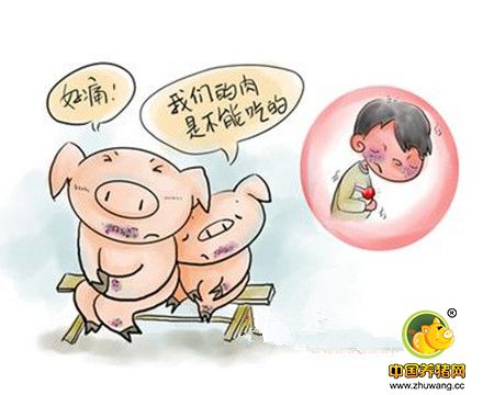 头疼的五号病！口蹄疫疫苗与免疫次数如何选择？